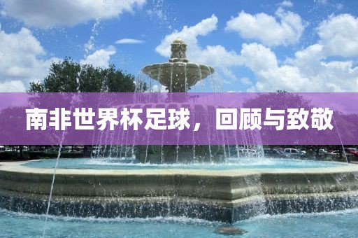 南非世界杯足球，回顾与致敬