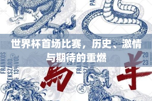 世界杯首场比赛，历史、激情与期待的重燃