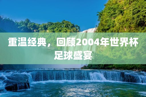 重温经典，回顾2004年世界杯足球盛宴
