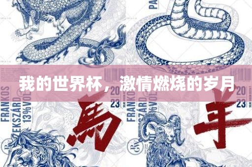 我的世界杯，激情燃烧的岁月