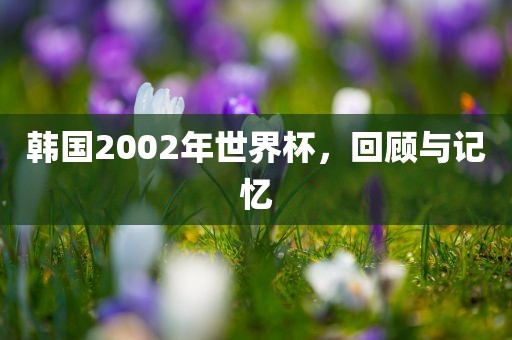 韩国漯河市盈旭机械设备有限公司2002年世界杯，回顾与记忆