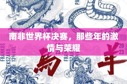 南非世界杯决赛，那些年的激情与荣耀
