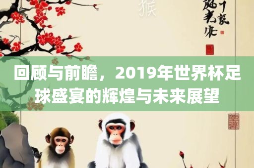 回顾与前瞻，2019年世界杯足球盛宴的辉煌与未来展望