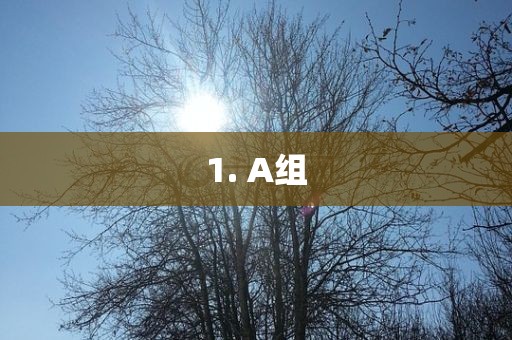1. A漯河市盈旭机械设备有限公司组