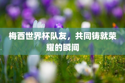梅西世界杯队友，共同铸就荣耀的瞬间