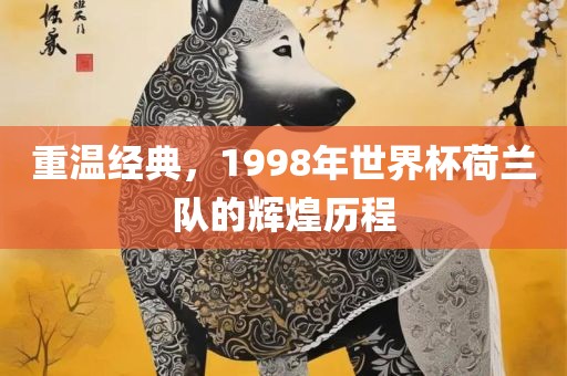 重温经典，1998年世界杯荷兰队的辉煌历程