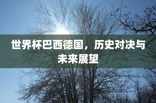 世界杯巴西德国，历史对决与未来展望漯河市盈旭机械设备有限公司