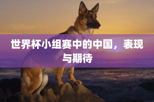 世界杯小组赛中的中国，表现与期待