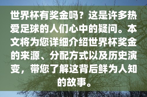 世界杯有奖金吗？这是许多热爱足球的人们心中的疑问。本文将为您详细介绍世界杯奖金的来源、分配方式以及历史演变，带您了解这背后鲜为人知的故事。