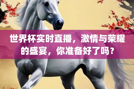 世界杯实时直播，激情与荣耀的盛宴，你准备好了吗？