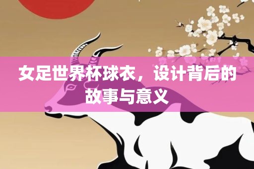 女足世界杯球衣，设计背后的故事与意义漯河市盈旭机械设备有限公司