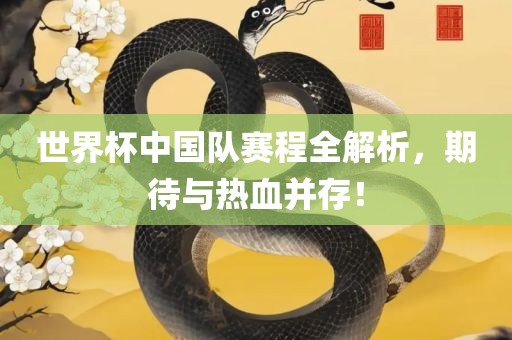 世界杯中国队赛程全解析，期待与热血并存！
