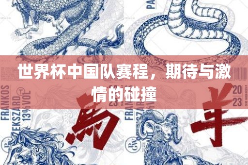 世界杯中国队赛程，期待与激情的碰撞