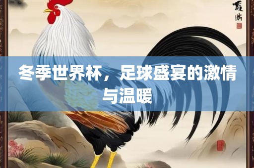 冬季世界杯，足球盛宴的激情与温暖