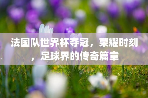 法国队世界杯夺冠，荣耀时刻，足球界的传奇篇章