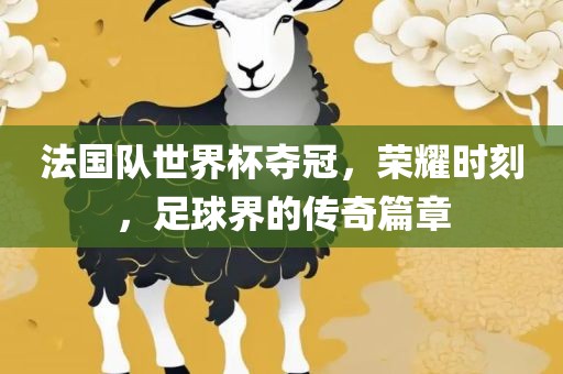 法国队世界杯夺冠，荣耀时刻，足球界的传奇篇章