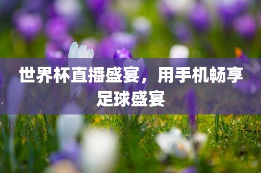 世界杯直播盛宴，用手机畅享足球盛宴漯河市盈旭机械设备有限公司