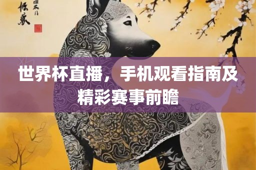 世界杯直播，手机观看指南及精彩赛事前瞻漯河市盈旭机械设备有限公司