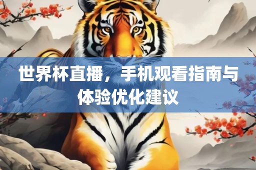世界杯直播，手机观看指南与体验优化建议漯河市盈旭机械设备有限公司