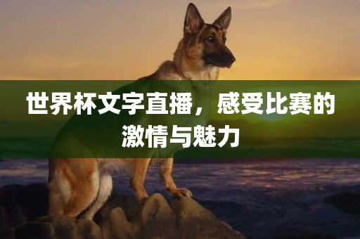 世界杯文字直播，感受比赛的激情与魅力