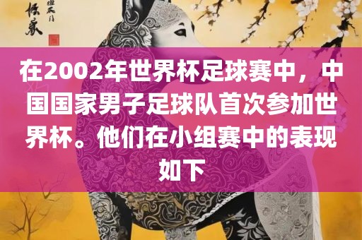 在2002年世界杯足球赛中，中国国家男子足球队首次参加世界杯。他们在小组赛中的表现如下