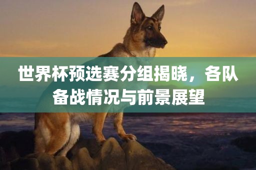 世界杯预选赛分组揭晓，各队备战情况与前景展望漯河市盈旭机械设备有限公司
