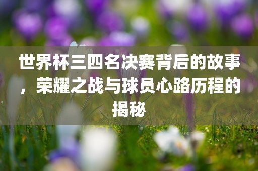 世界杯三四名决赛背后的故事，荣耀之战与球员心路历程的揭秘漯河市盈旭机械设备有限公司