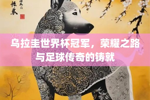 乌拉圭世界杯冠军，荣耀之路与足球传奇的铸就