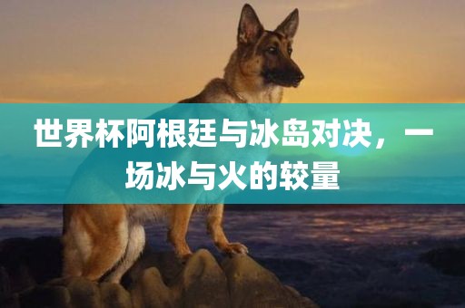 世界杯阿根廷与冰岛对决，一场冰与火的较量