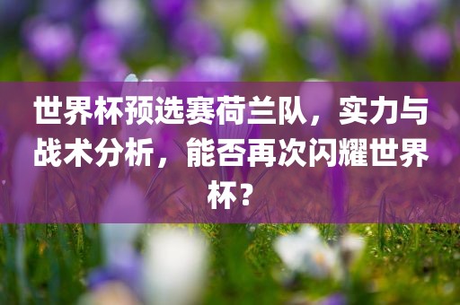 世界杯预选赛荷兰队，实力与战术分析，能否再次闪耀世界杯？