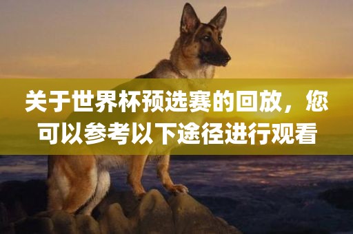 关于世界杯预选赛的回放，您可以参考以下途径进行观看