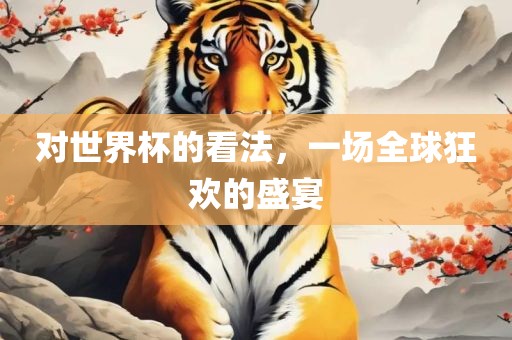 对世界杯的看法，一场全球狂欢的盛宴漯河市盈旭机械设备有限公司