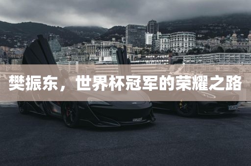 樊振东，世界杯冠军的荣耀之路