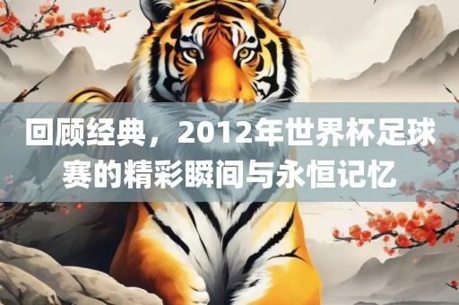 回顾经典，2012年世界杯足球赛的精彩瞬间与永恒记忆