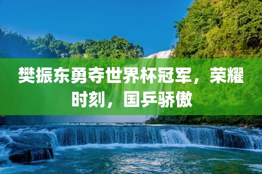 樊振东勇夺世界杯冠军，荣耀时刻，国乒骄傲