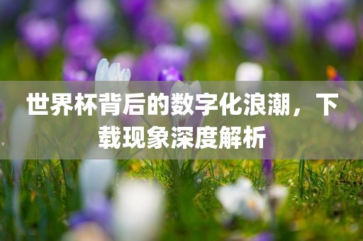 世界杯背后的数字化浪潮，下载现象深度解析漯河市盈旭机械设备有限公司