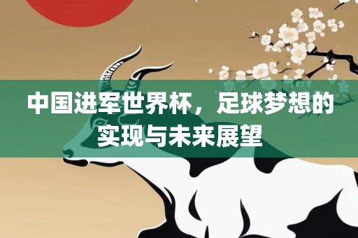 中国进军世界杯，足球梦想的实现与未来展望
