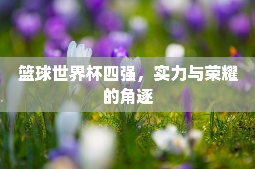 篮球世界杯四强，实力与荣耀的角逐