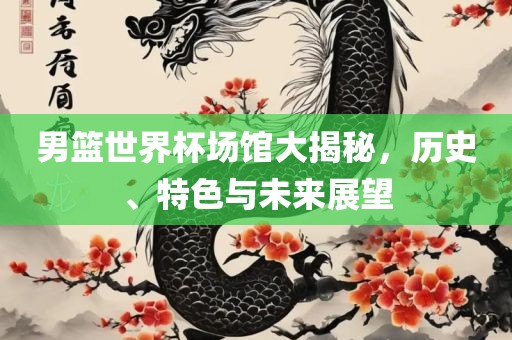 男篮世界杯场馆大揭秘，历史、特色与未来展望