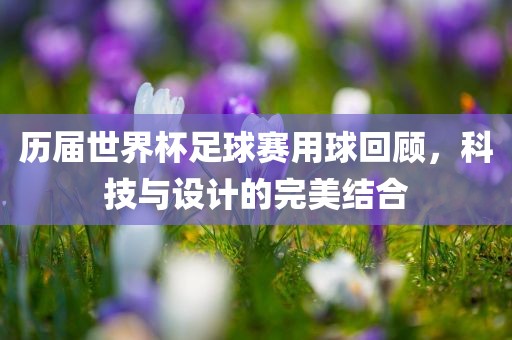 历届世界杯足球赛用球回顾，科技与设计的完美结合