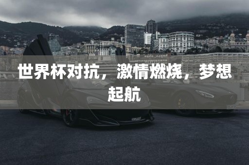 世界杯对抗，激情燃烧，梦想起航