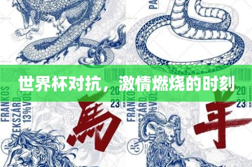 世界杯对抗，激情燃烧的时刻