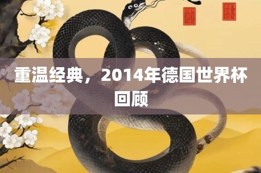 重温经典，2014年德国世界杯回顾
