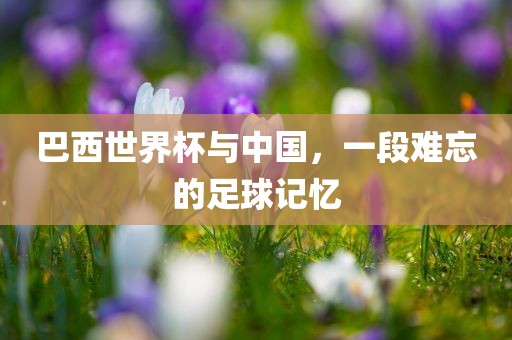 巴西世界杯与中国，一段难忘的足球记忆