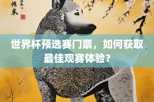 世界杯预选赛门票，如何获取最佳观赛体验？
