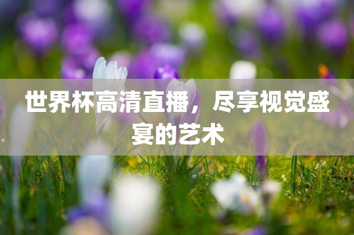 世界杯高清直播，尽享视觉盛宴的艺术