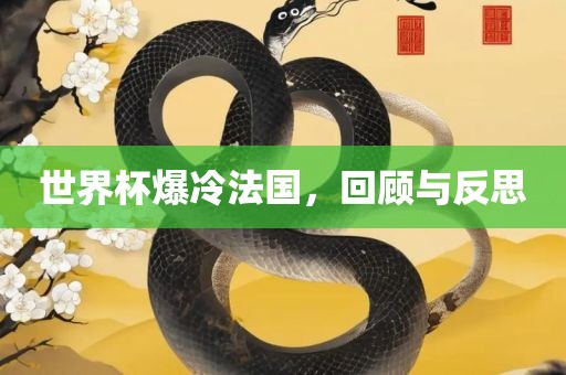 世界杯爆冷法国，回顾与反思