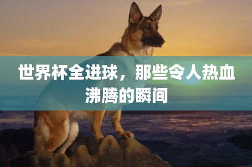世界杯全进球，那些令人热血沸腾的瞬间