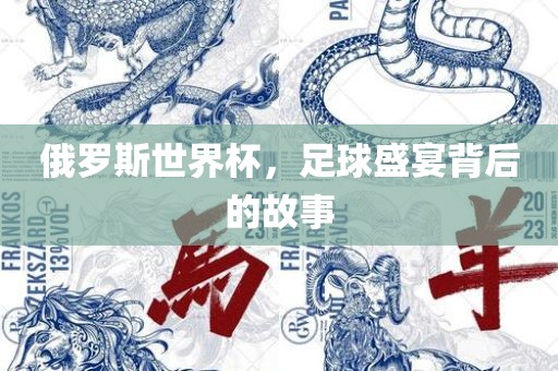 俄罗斯世界杯，足球盛宴背后的故事