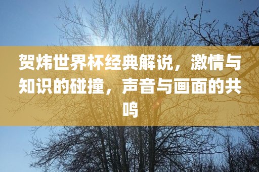 贺炜世界杯经典解说，激情与知识的碰撞，声音与画面的共鸣